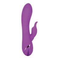 California Dreaming Purple Rabbit Vibrator - Ultimate Pleasure
