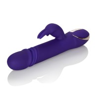 Premium Jack Rabbit Vibrator - Purple