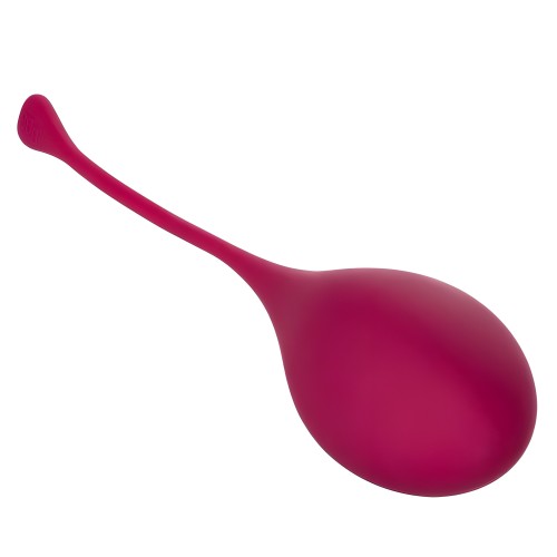 Kegel Training 5pc Set - Strengthen Your Pelvic Floor