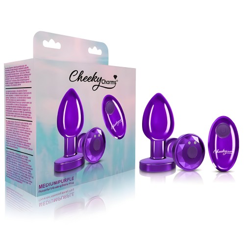 Cheeky Charms Vibrating Metal Plug - Remote Control