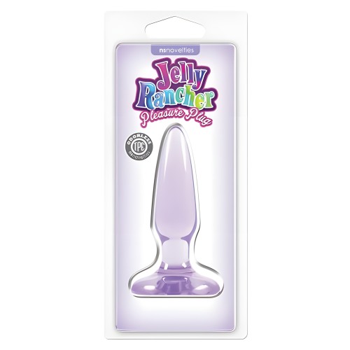 Plug de Placer Mini Jelly Rancher Morado - Juguete Anal Divertido
