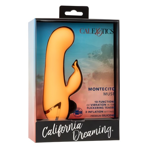 Cali Dreamin Montecito Muse