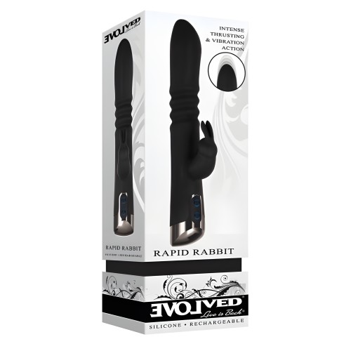 Evolved Rapid Rabbit Black
