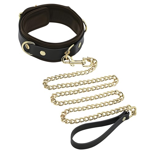 Spartacus Collar & Leash Brown Leather Gold Accent