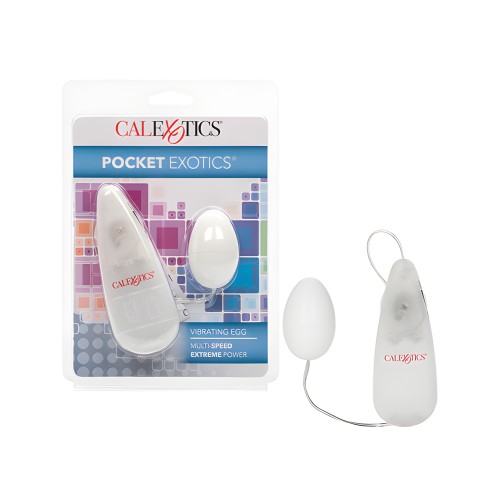 Pocket Exotics Egg - Ivory