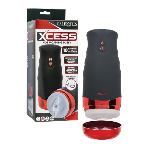 Xcess Hot Moaning Pussy