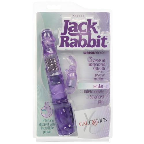 Jack Rabbit Petite - Purple - Compact Vibrator