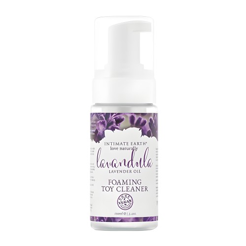Limpiador Espumoso Intimate Earth - 100 ml