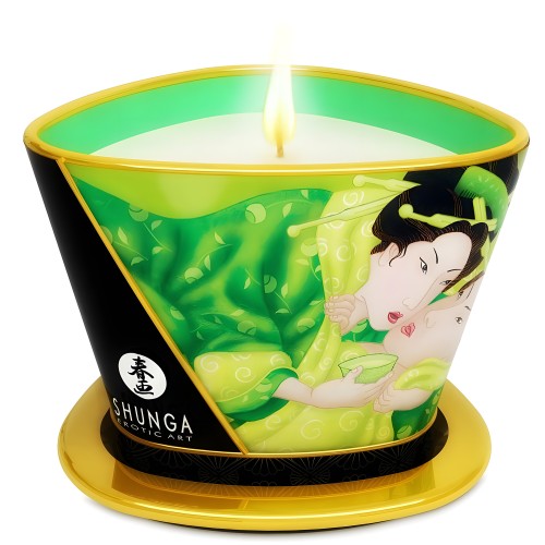 Shunga - Massage Candle Green Tea