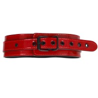 Kink - Adjustable Wine Red Collar