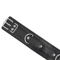 Kink Adjustable Collar with Leash