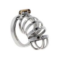 Hidden Desire Extreme Metal Chastity Cage