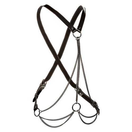 Calexotics - Euphoria Multi-Chain Harness