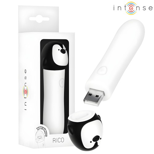 Intense RICO Rechargeable USB Vibrating Bullet 10 X 2.2 Cm