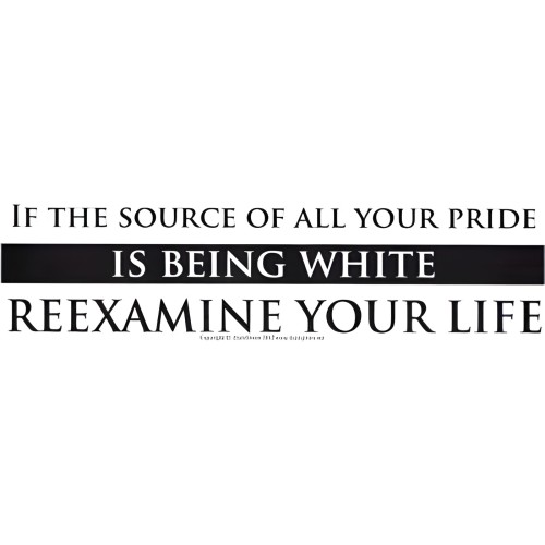 Calcomanía Provocativa