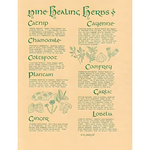 Póster de 9 Hierbas Curativas