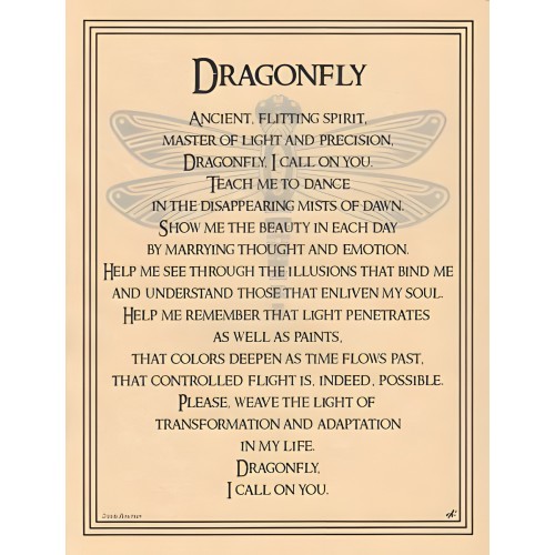 Dragonfly Poster