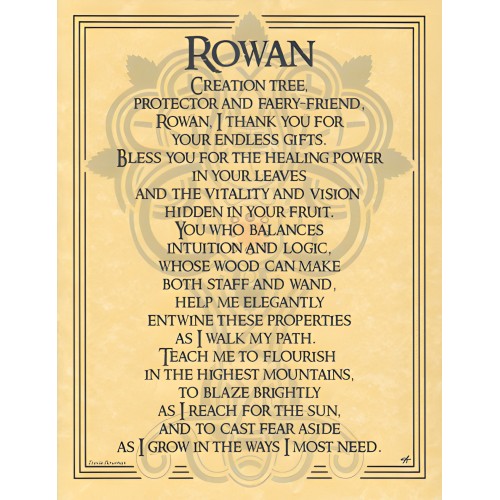 Póster del Árbol Rowan