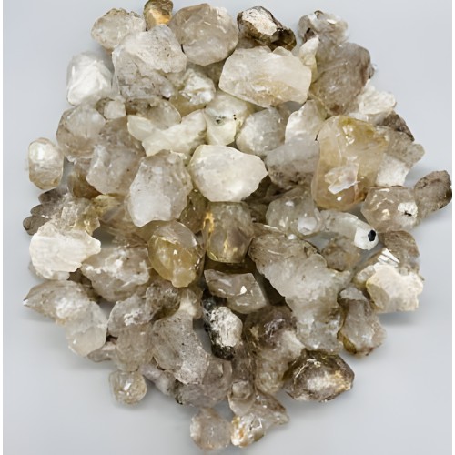 ~3# Alligator Quartz Flat - Healing