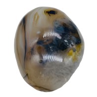 Dendritic Agate Worry Stone