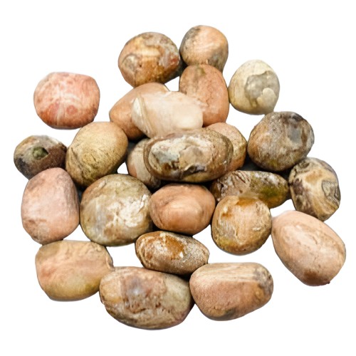 1 lb Picasso Jasper Tumbled Stones