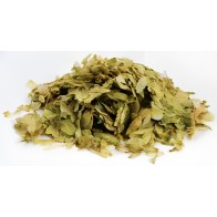 1 lb Flores de Lúpulo Enteras - Relajación & Sanación