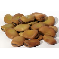 1 lb Mojo Wish Beans