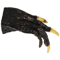 Patas de Cocodrilo Pequeñas