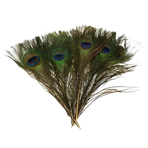 Set de 100 Plumas de Pavo Real