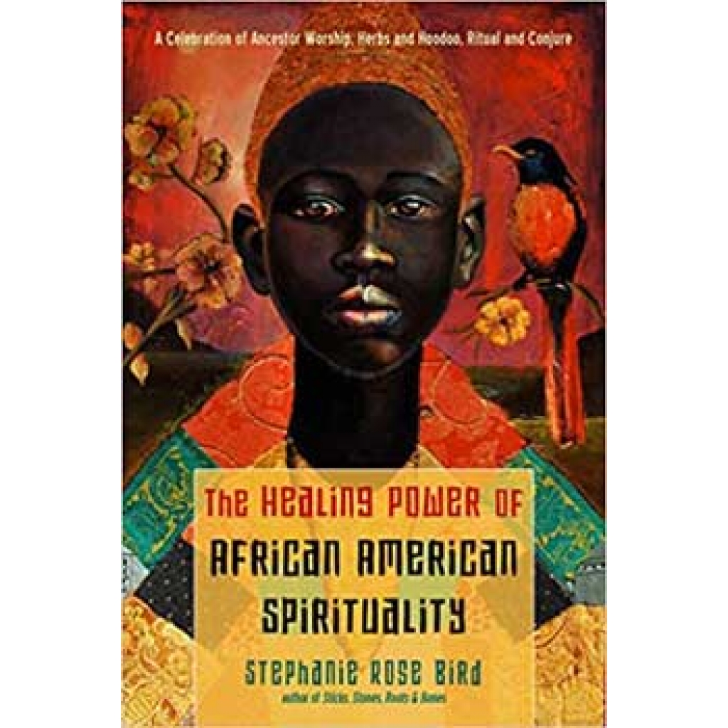 Healing Power of African American Spirituality by Stephanie Rose Bird