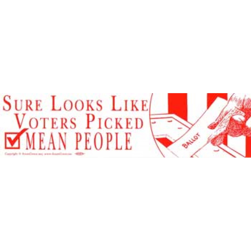 Sure Looks Like Voters Picked Mean People bumper sticker