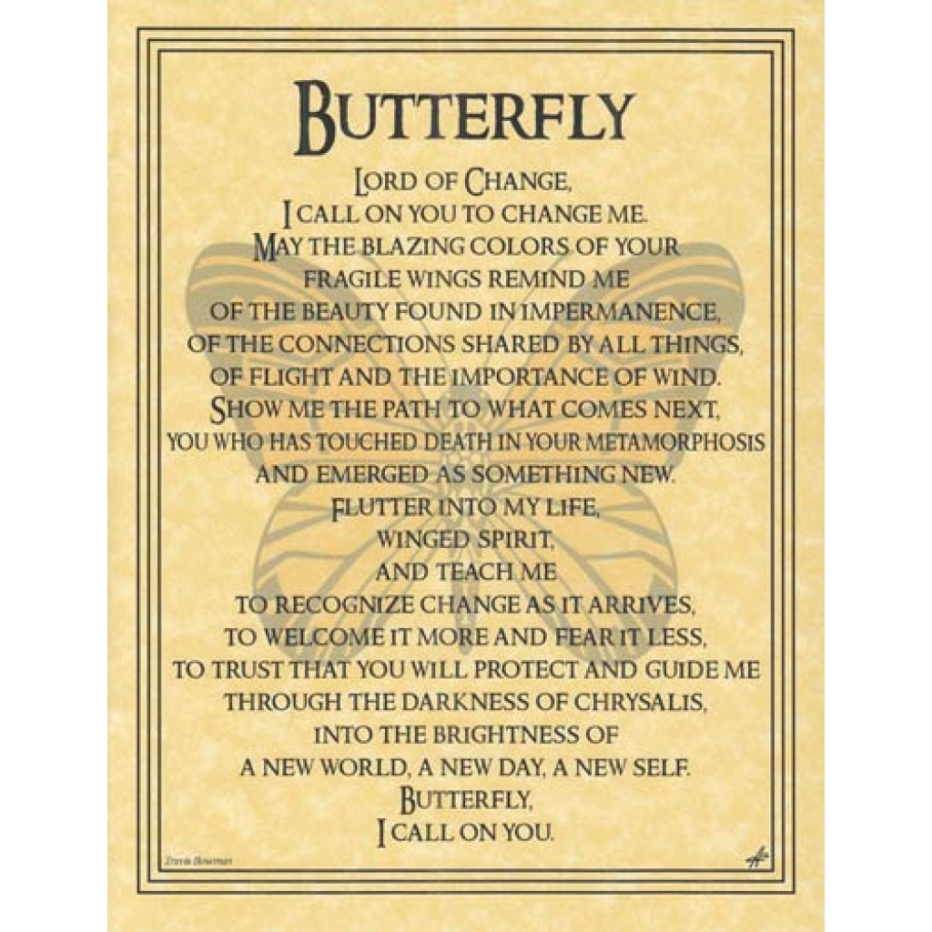 Butterfly Prayer poster