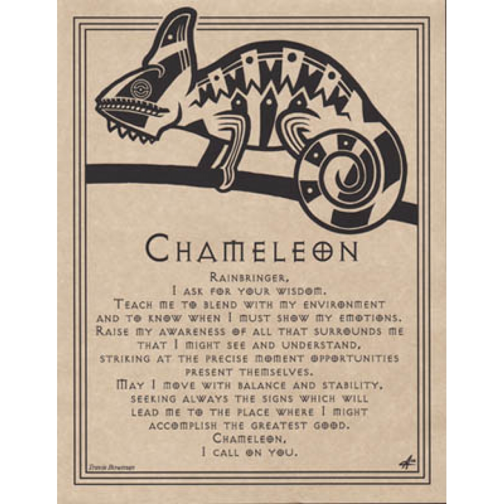 Chameleon Prayer poster
