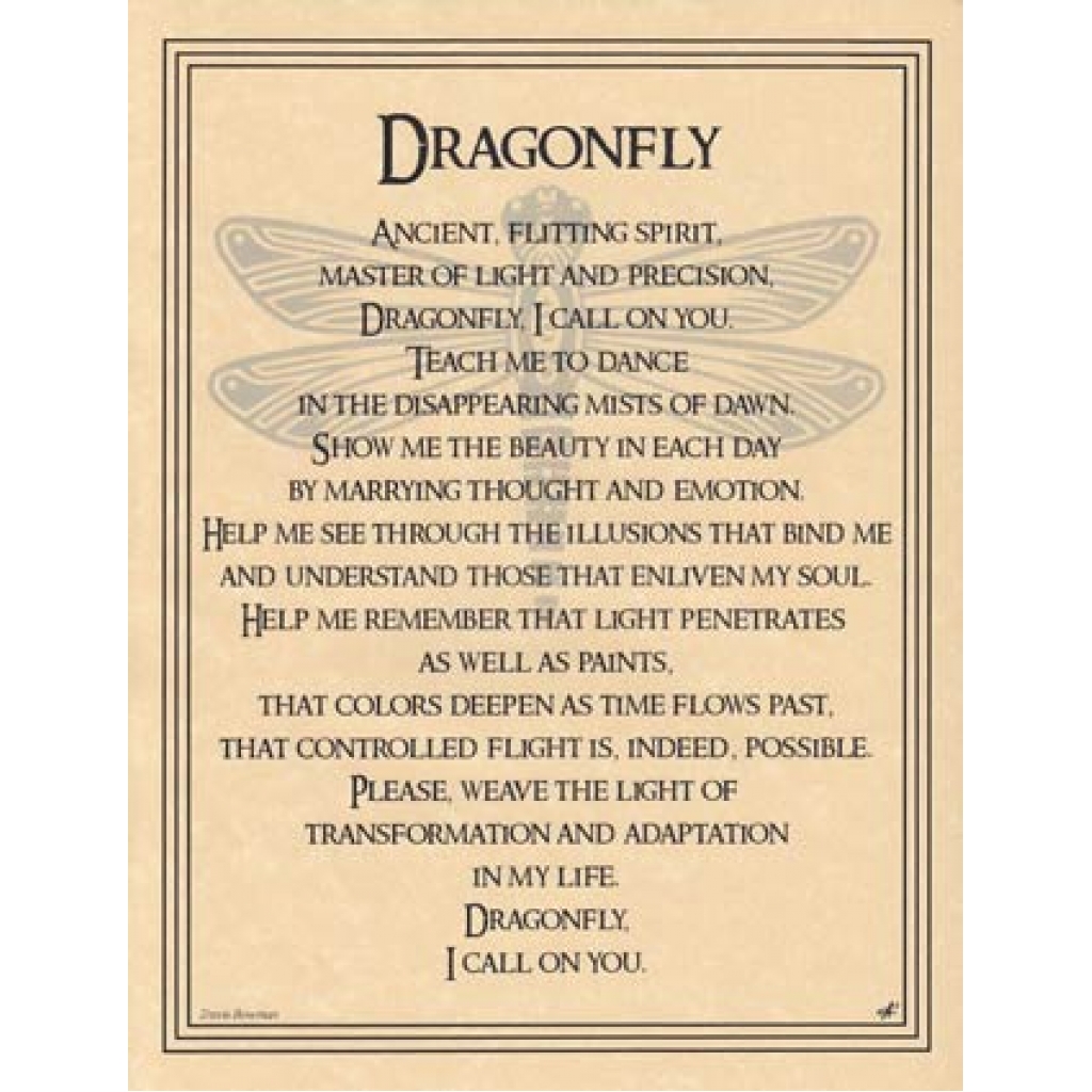 Dragonfly poster