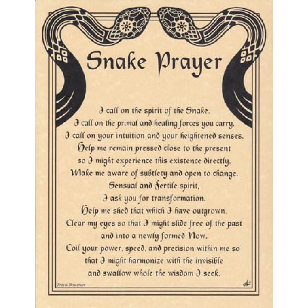 Snake Prayer poster