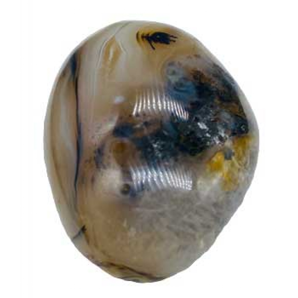 Agate, Dendritic palm stone