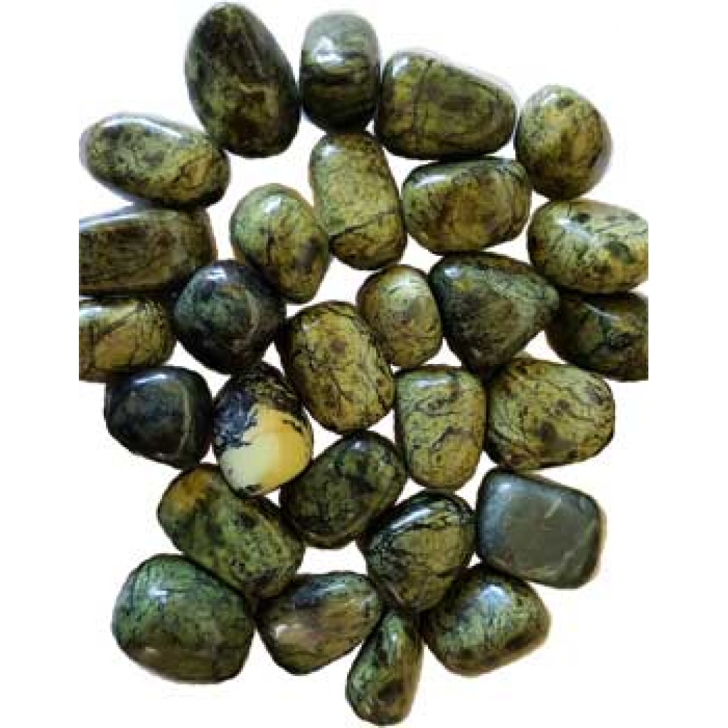 1 lb Asterite Serpentine tumbled stones