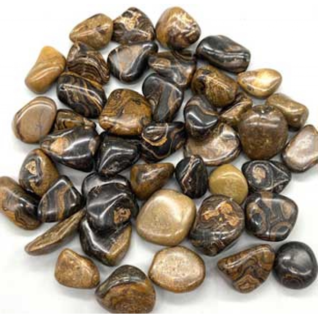 1 lb Stromatolite (onyx Brown) tumbled stones