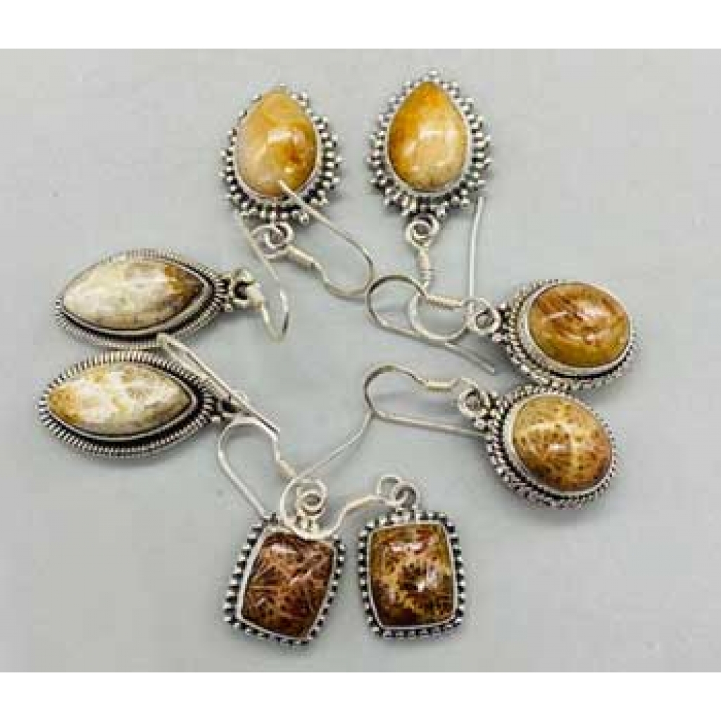 Fossil coral various earrings