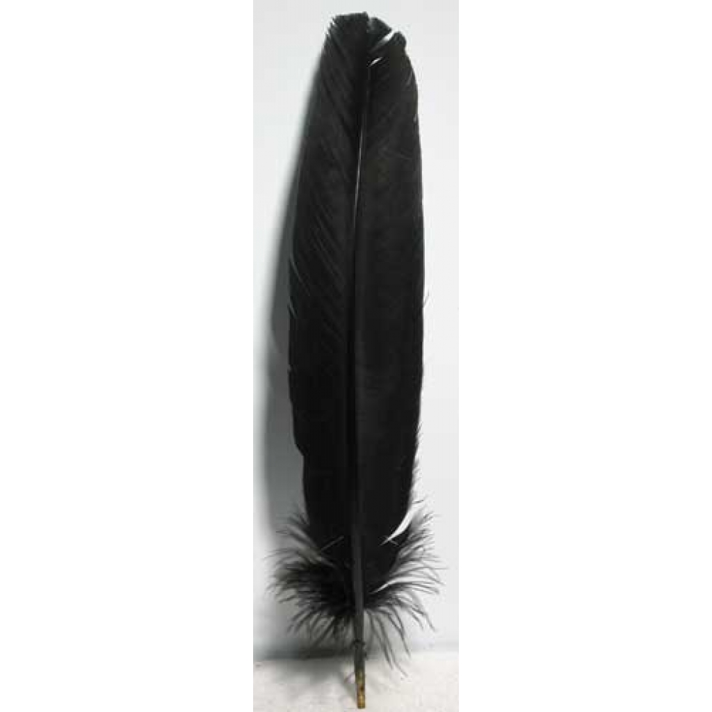(set of 10) Black feather 12