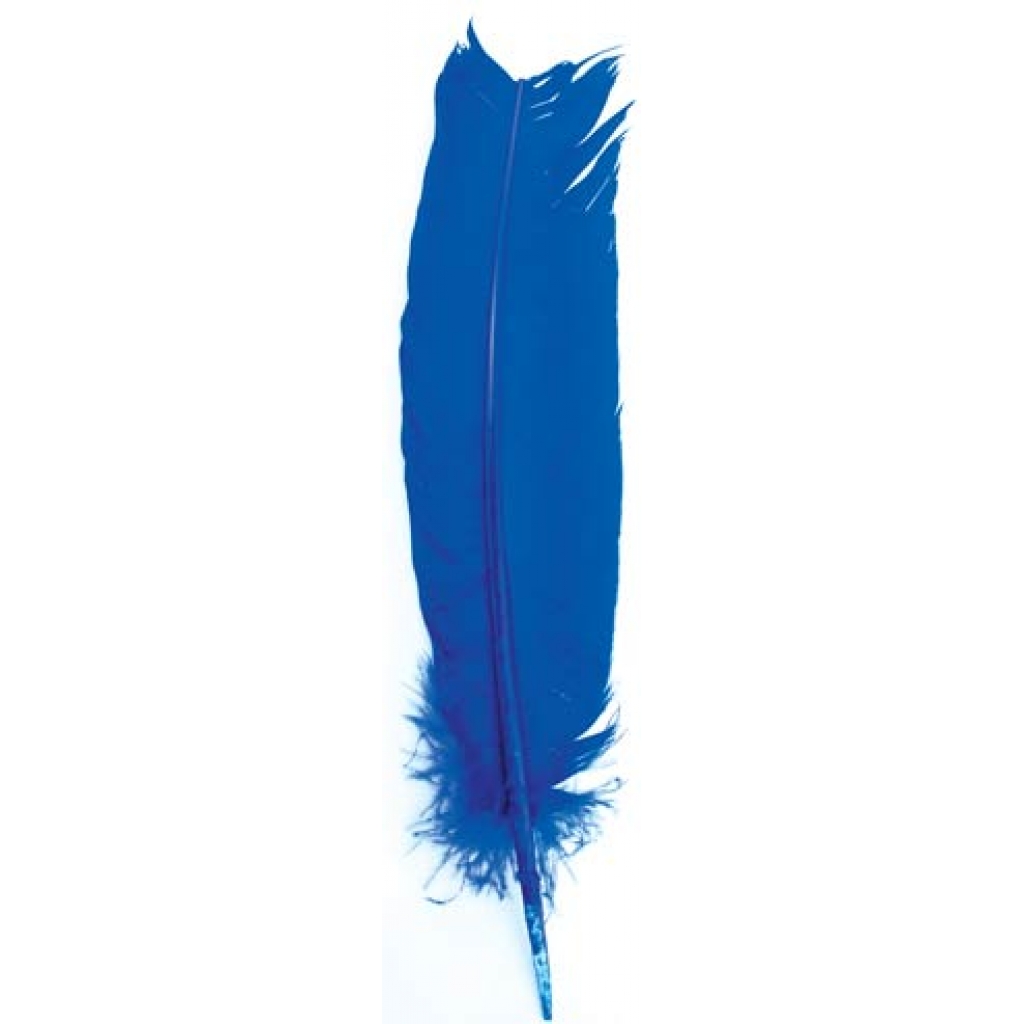 (set of 10) Blue feather 12