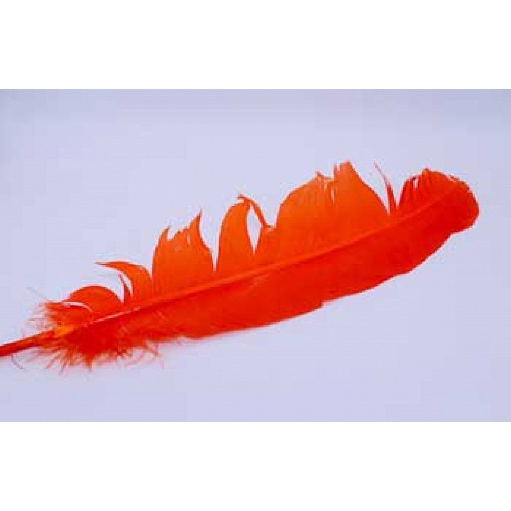 Orange feather 12