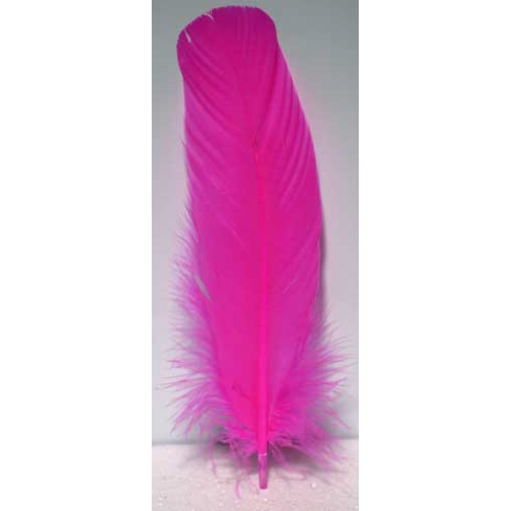 (set of 10) Pink feather 12