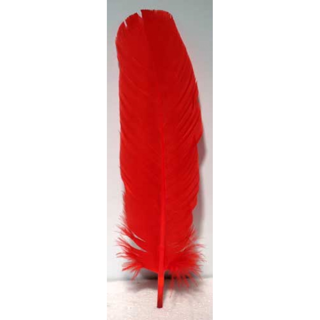 (set of 10) Red feather 12