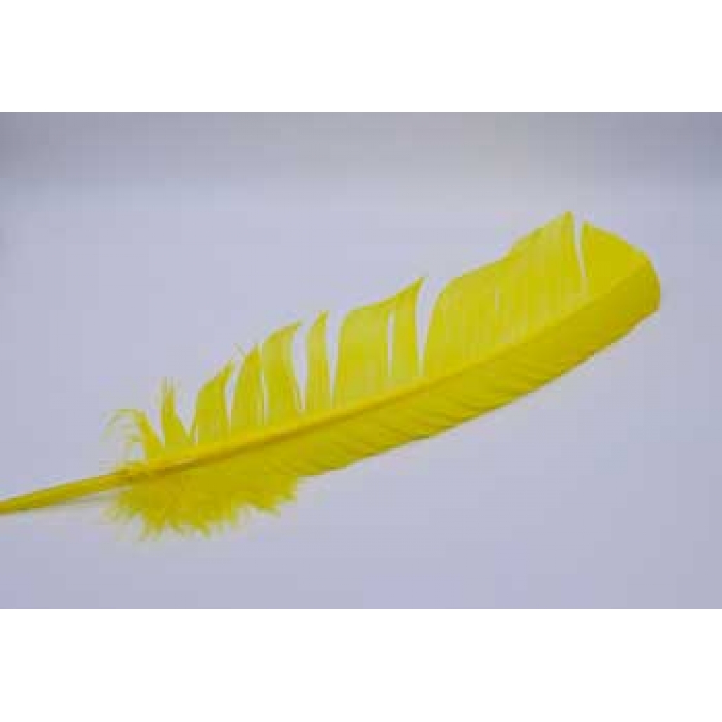 (set of 10) Yellow feather 12