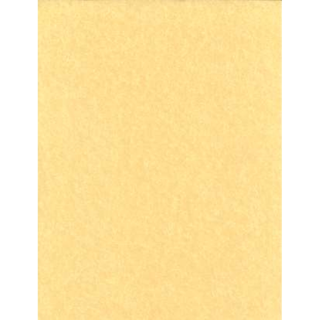 Light Parchment Paper 25 Pack (8 1/2