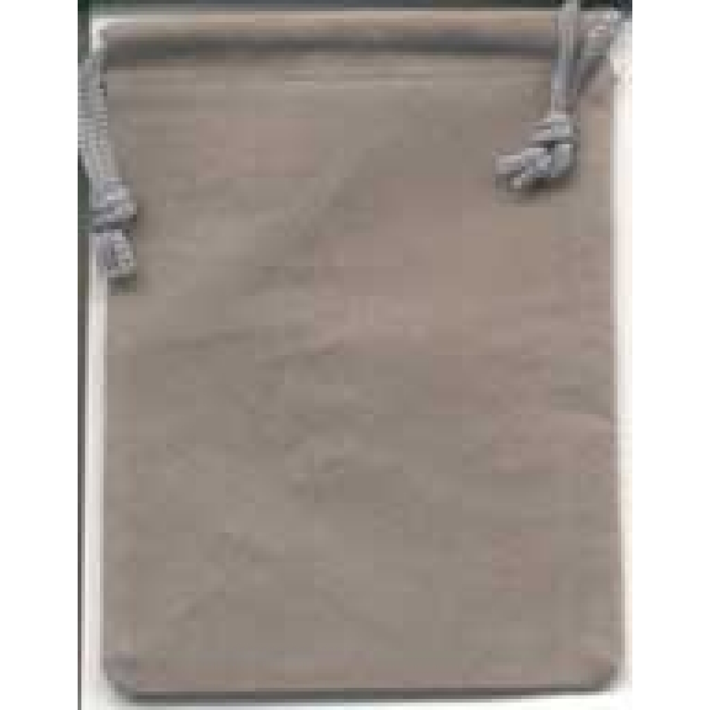 Gray Velveteen Bag
