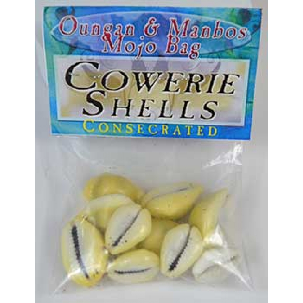 Cowrie Shells (Concha De Caliri) consecrated