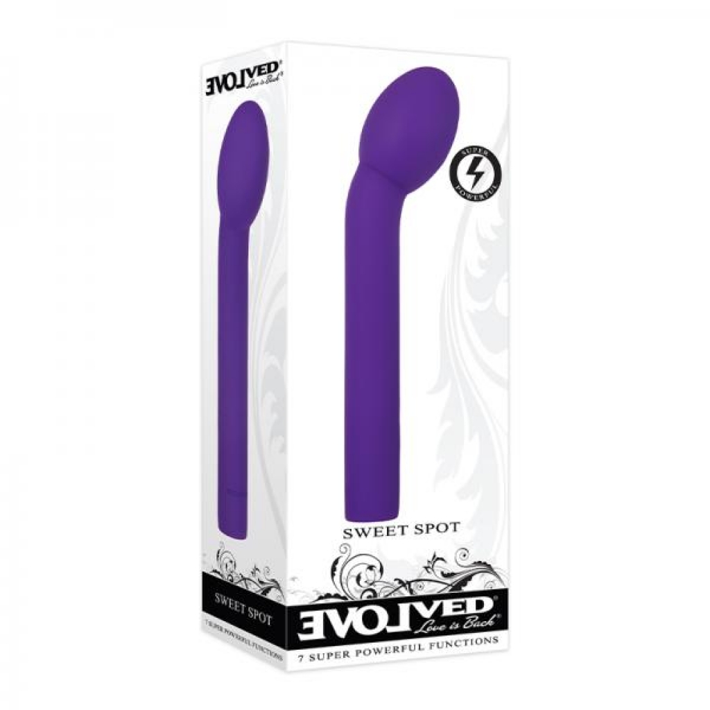 Evolved Sweet Spot Rechargeable Silicone Purple